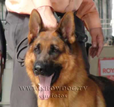 Clique sobre a foto para fechar